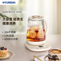 现代（HYUNDAI） DC5B07 电热水壶(养生壶) 1.8L（单位：台）