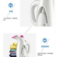 志高（CHIGO） ZD188 手持挂烫机 800W（单位：台) 白色