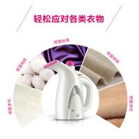 志高（CHIGO）ZD188 家用手持挂烫机 800W（单位：台）白色