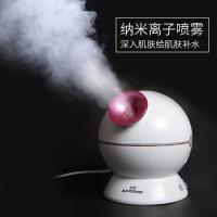 金稻（KSKIN） KD23313 美容仪 300W 白色（单位：个）