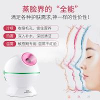 金稻（KSKIN） KD23313 美容仪 300W 白色（单位：个）