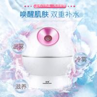 金稻（KSKIN） KD23313 美容仪 300W 白色（单位：个）