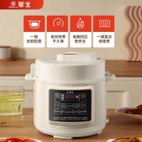 华生 QT-X250H 电压力锅 5L 白色（单位：个）