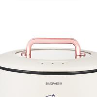 豹牌 BP-WD727 多功能电火锅 3.5L (单位: 个)