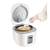 豹牌 BP-WB166 多功能电饭煲 5L (单位: 个)