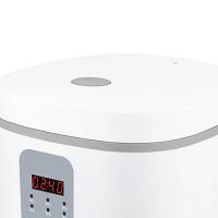 豹牌 BP-WB166 多功能电饭煲 5L (单位: 个)