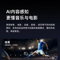 海信（Hisense） 55H5K 液晶平板电视机 55英寸 2GB+32GB (单位:台)