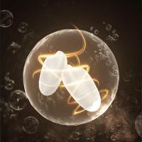 康巴赫（KOBACH） KFP-401 旋风电饭煲 4L（单位：个）典雅蓝