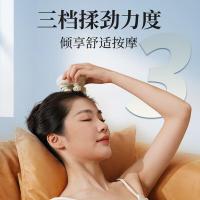 和正 HZ-HEAD-7 猫爪电动按摩梳 3.5W（单位：件）