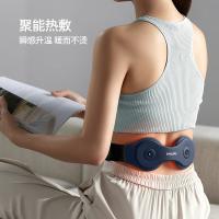 飞利浦（PHILIPS） PPM3208B 腰部按摩器 5W （单位：个）