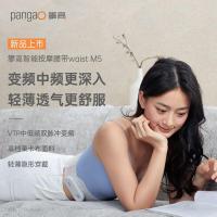 攀高（PANGAO） Waist M5 智能按摩腰带 2000mAh (单位:个)