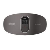 攀高（PANGAO） Waist 1 腰部按摩器 功率5W  (单位：台 )灰色