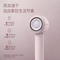 飞科 FH6371 电吹风 1600W 粉色（单位：个）