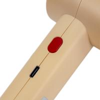 大嘴猴（Paul Frank） DZH-F1028 高速手持风扇 电池容量2000mAh 随机色 (单位:台)