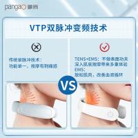 攀高（PANGAO）PG-2601B19 颈椎按摩仪 1500mAh 银色（单位：个）
