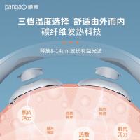 攀高（PANGAO）PG-2601B19 颈椎按摩仪 1500mAh 银色（单位：个）
