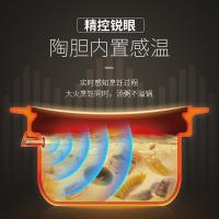 苏泊尔（SUPOR） TG40YC5 电炖锅 4L（单位：台）