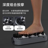 凯诗捷（KASJ） Z201 足浴盆 800W 摩登灰（单位：个）