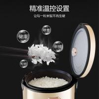 华生 MW-R40C5B 西施电饭煲 4L（单位：台）