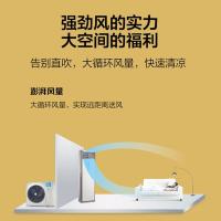 美的（Midea） KFR-51LW/BDN8Y-PA401(3)A 空调 2匹三级能效 白色（单位：台）