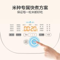 苏泊尔（SUPOR）SF50FC61 电饭煲5L（单位：台）