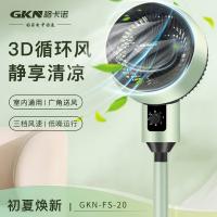 格卡诺（GKN） GKN-FS-20 空气循环扇 电风扇 35W 绿色（单位：个）