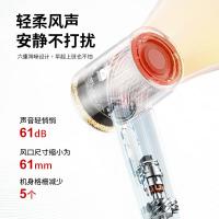 荣事达（Royalstar） RC-241A 电吹风 24.7*9.7cm （单位:个）