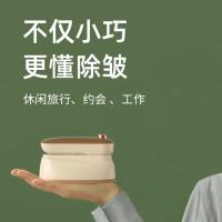 志高（CHIGO）JW-228C 旅行迷你电烫斗 13.5cm 米黄色 （单位:台）