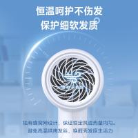 美的（Midea） FZ105 电吹风 800W 白色（单位：台）