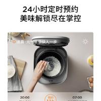 九阳（Joyoung） 40FZ4399 电饭煲 4L (单位:台)