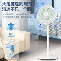 荣事达（Royalstar） 落地扇 FS12-301B 350*350*920mm (单位:台) 白色