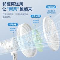 荣事达（Royalstar） 落地扇 FS12-301B 350*350*920mm (单位:台) 白色
