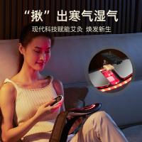 攀高（PANGAO） waist8 腰部按摩器 艾灸款 象牙色（单位：台）