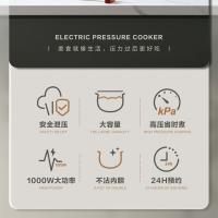 荣事达（Royalstar） YDG50-100A262 电压力锅 5L （单位:个）