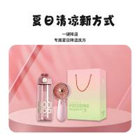 菲迪米尼 FDMN-QF02 清凉风暴两件套套装 三档手持风扇 富光水杯650ml 随机颜色发货 (单位:套)