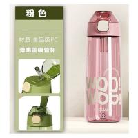 菲迪米尼 FDMN-QF02 清凉风暴两件套套装 三档手持风扇 富光水杯650ml 随机颜色发货 (单位:套)