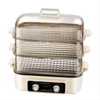 荣事达（Royalstar）RS-ZG120M 多功能电蒸锅 4L （单位：个）