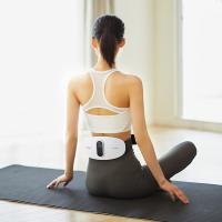 攀高（PANGAO）PG-2645L腰部按摩器 5W（单位：台）