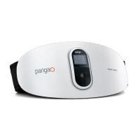 攀高（PANGAO）PG-2645L腰部按摩器 5W（单位：台）