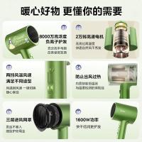 美的（Midea）MB-AJ0502 电吹风 吹风机 258*105*75mm (单位:台) 仙踪绿