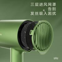美的（Midea）MB-AJ0502 电吹风 吹风机 258*105*75mm (单位:台) 仙踪绿