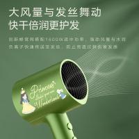 美的（Midea）MB-AJ0502 电吹风 吹风机 258*105*75mm (单位:台) 仙踪绿