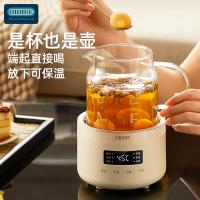 OIDIRE ODI-HC06 养生花茶杯 标准款 500ml （单位：个）里米尼白