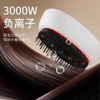多的（DuDoo） A1 按摩梳 按摩器 3000W负离子 白色（单位：个）