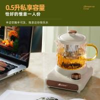 艾贝丽 ABL-DD67 养生杯 500ml 400W（单位：台）米黄