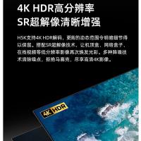 海信（Hisense） 55H5K 液晶平板电视机 55英寸 2GB+32GB （单位：台）