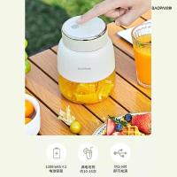 豹牌 BP-PN065 便携榨汁机 800ml （单位:个）