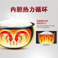 苏泊尔（SUPOR）CFXB40FC59-75 智能球釜内胆电饭煲 4L (单位:台)