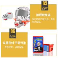 鸣固 TZL30 防毒面具 24*11*14cm （单位:个）