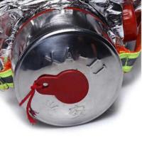 鸣固 TZL30 过滤式消防自救呼吸器 防毒面具 24*11*14cm 银色（单位：个）